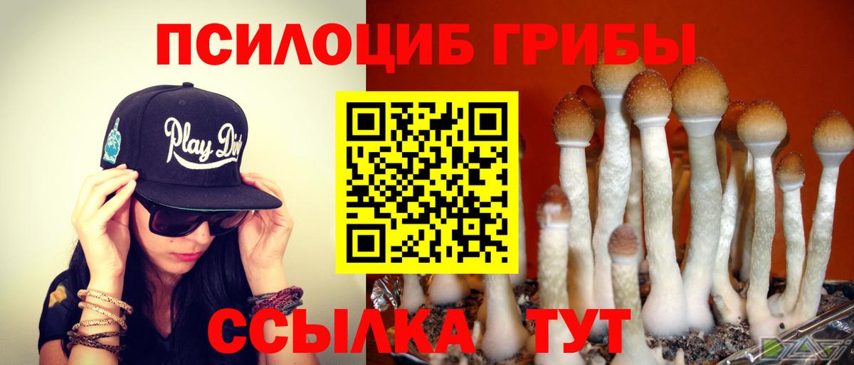Галлюциногенные грибы прущие грибы  Вход с VPN  Корсаков  Галлюциногенные грибы Cubensis 